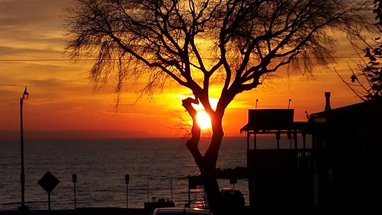 Balm Beach Resort And Motel 외부 사진
